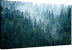 Vászonkép 120x80 Erdő a ködben Utazás