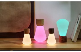 Natúr színű szabályozható asztali lámpa (magasság 13 cm) Pentagon – Gingko