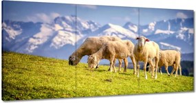 Vászonkép 180x90 Juh legeltetés Bárányok