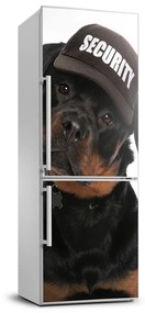 Hűtőre ragasztható matrica Rottweiler FridgeStick-70x190-f-76884737