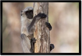 Poszterek keretben 60x40 Pihenés a természetben