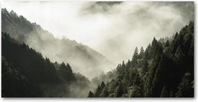 Konyhai panel Köd az erdő felett 140x70 cm Ragasztó