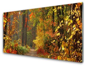 Üvegkép falra Őszi erdő Természetvédelmi 100x50 cm