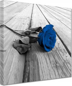 Vászonkép 20x20 Kék rózsa a deszkákon