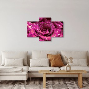 Rózsaszín rózsa virágzata képe (90x60 cm)