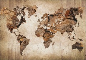 Flizelin tapéta Flizelin fali prémium fa térkép 208x146