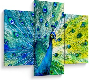 Páva képe (90x60 cm)
