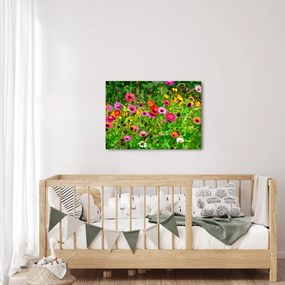 Réti virágok képe (70x50 cm)