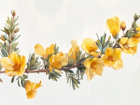 Poszter 100x75cm Sárga virágok