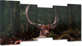 Vászonkép 150x80 Szarvas felszarvazott