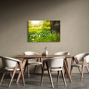 Tisztás és a virágok képe (90x60 cm)