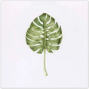 Poszterek 30x30 Monsera levél lyukas