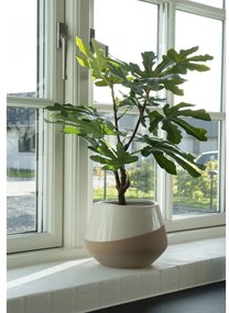 Fügefa műnövény 60 cm