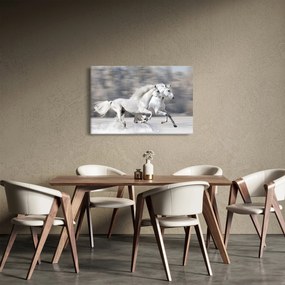 Kép - Fehér lovak télen (90x60 cm)