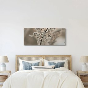 Kép - Növény fagyban (120x50 cm)