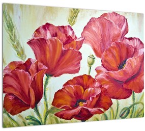 Kép - Pipacsvirágok (70x50 cm)