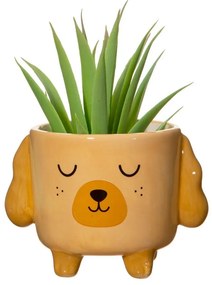 Kő kaspó ø 7,5 cm Cockapoo – Sass &amp; Belle