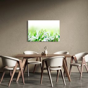 Kép - Hóvirág (90x60 cm)