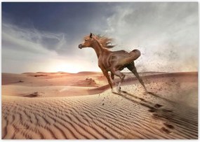 Fotótapéták 312x219 Galoppozó ló