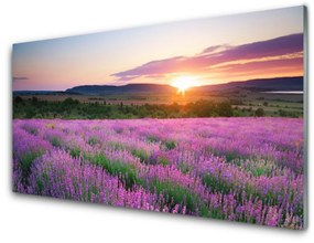 Fali üvegkép West Meadow Lavender Fields 125x50 cm