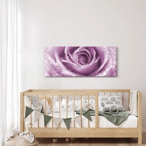 Egy rózsa virág részlete (120x50 cm)