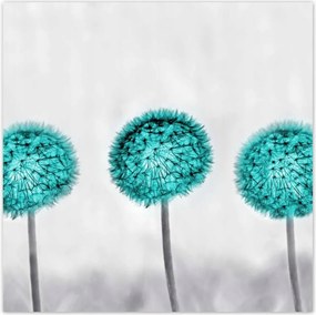 Poszterek 100x100 Pitypangok