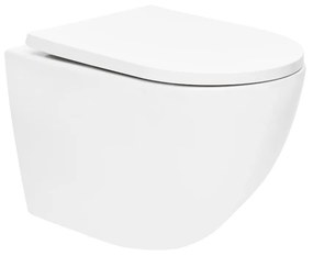 Wall-hung WC SAT with softclose seat, white, tornado, SAT67010RTORP