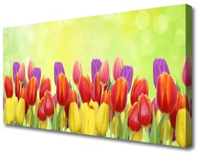 Vászonfotó Tulipán virágok Plant 125x50 cm