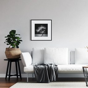 Keretezett falikép, pitypang pelyhek, 50x50 cm, fekete-fehér - PISSENLIT