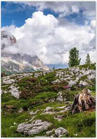 Poszterek 70x100 Bárány a hegyekben Kilátás