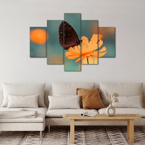 Kép - pillangó narancssárga virágon (150x105 cm)