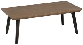 Barna jegenyefenyő dohányzóasztal 60x120 cm Paul – Ixia