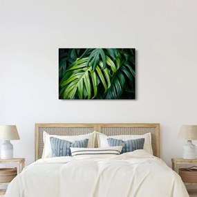Kép - trópusi levelek (90x60 cm)