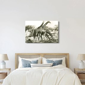 Kép - Zsiráfok, vintage (90x60 cm)
