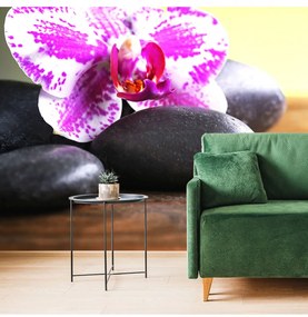 Fotótapéta orchidea és fekete kövek - 375x250 -