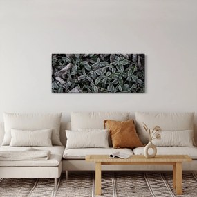 Kép - Fagyasztott növények (120x50 cm)