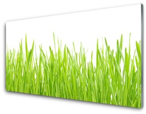 Üvegfotó Grass Nature Plant 100x50 cm 2 fogas