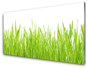 Üvegfotó Grass Nature Plant 140x70 cm