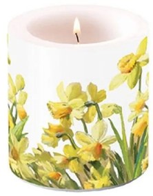 Golden Daffodils átvilágítós gyertya 8x7,5cm