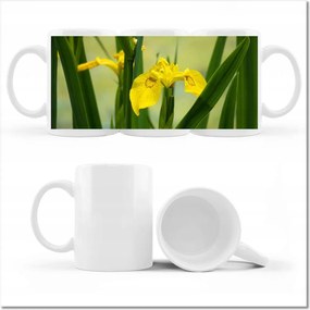 Fotó bögre Virágok