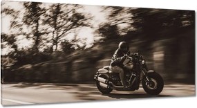 Képek 115x55 Harley Davidson Motorkerékpár