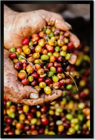 Poszterek keretben 40x60 Kávé szett Kávé