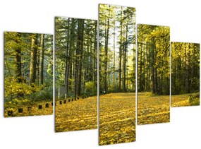 Kép - erdő ősszel (150x105 cm)