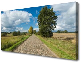 Vászonfotó A falu útburkolat Landscape 100x50 cm