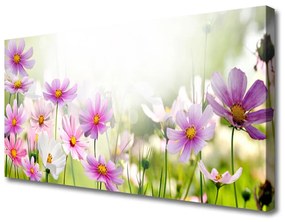 Vászonkép nyomtatás Virág növény természet 140x70 cm