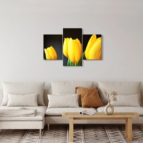 Tulipán képe (90x60 cm)