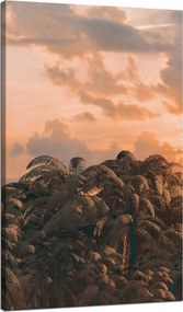 Vászonkép Fák Naplemente Felhők Égbolt 70x120 cm