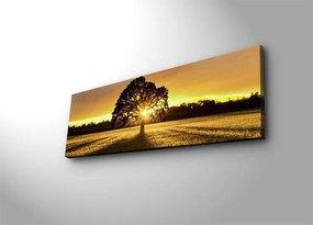 Vászonkép, 30×90 cm – 3090DACT-68