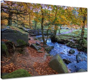 Vászonkép 50x40 Híd a parkban