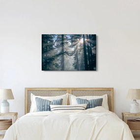 Fák képe a ragyogó nappal (90x60 cm)